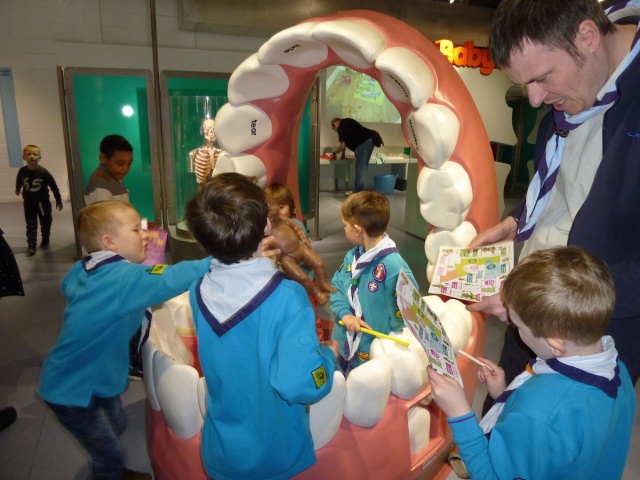 a volunteer is teaching a beaver scout to read the guide book.
